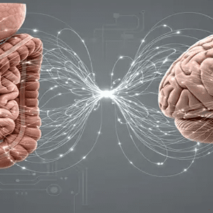 Мікрофлора перемоги: як кишківник керує нашим настроєм