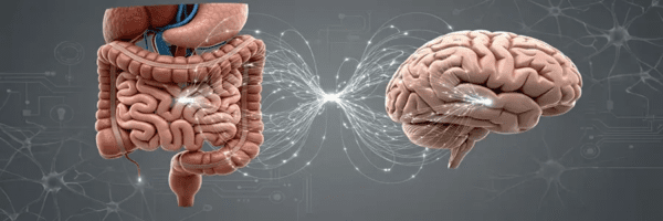 Мікрофлора перемоги: як кишківник керує нашим настроєм