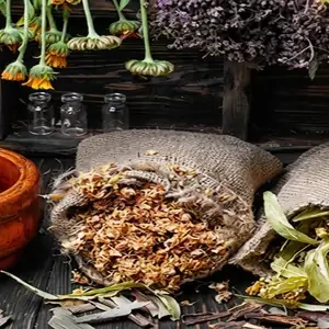 Адаптогени: як навчити організм не помічати стрес